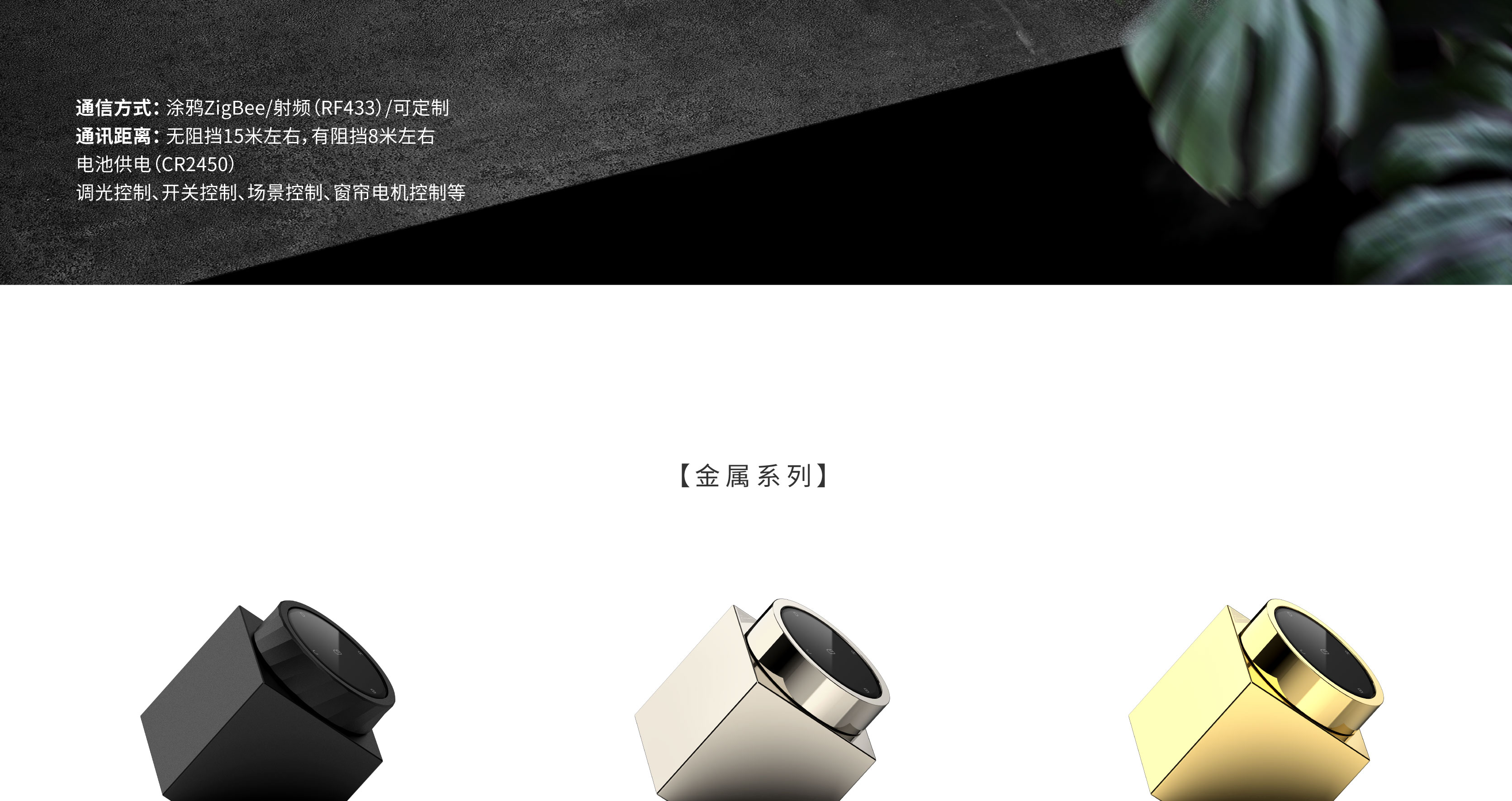 方洲C9-05.jpg
